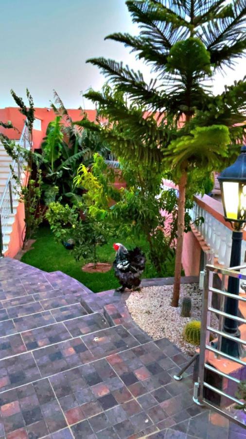 Riad Dar Salam Hotel Agadir Exterior foto